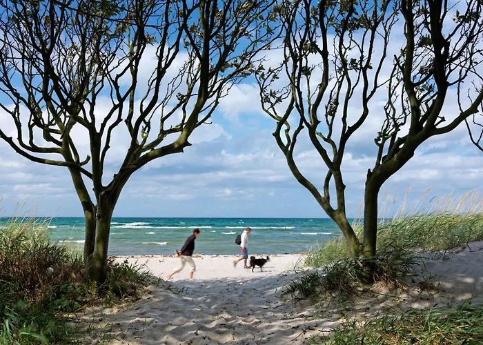 Residenz Ostsee Sommertraum Apartment Am Schwarzen Busch